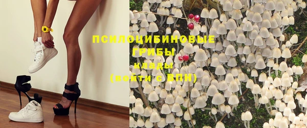 ГАЛЛЮЦИНОГЕННЫЕ ГРИБЫ Лиски
