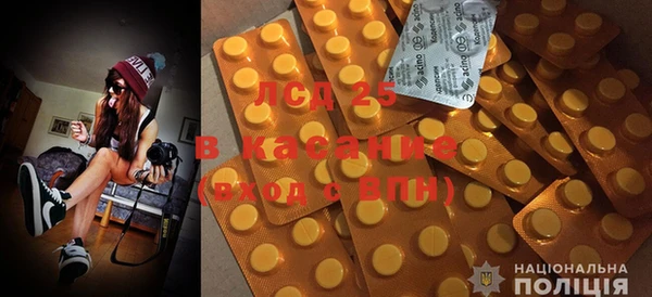ГАЛЛЮЦИНОГЕННЫЕ ГРИБЫ Лиски