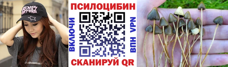 OMG вход  Рыбинск  Галлюциногенные грибы GOLDEN TEACHER 