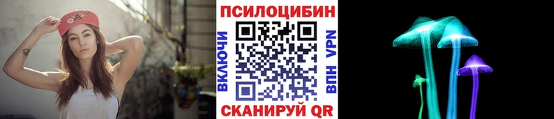 Псилоцибиновые грибы GOLDEN TEACHER Рыбинск