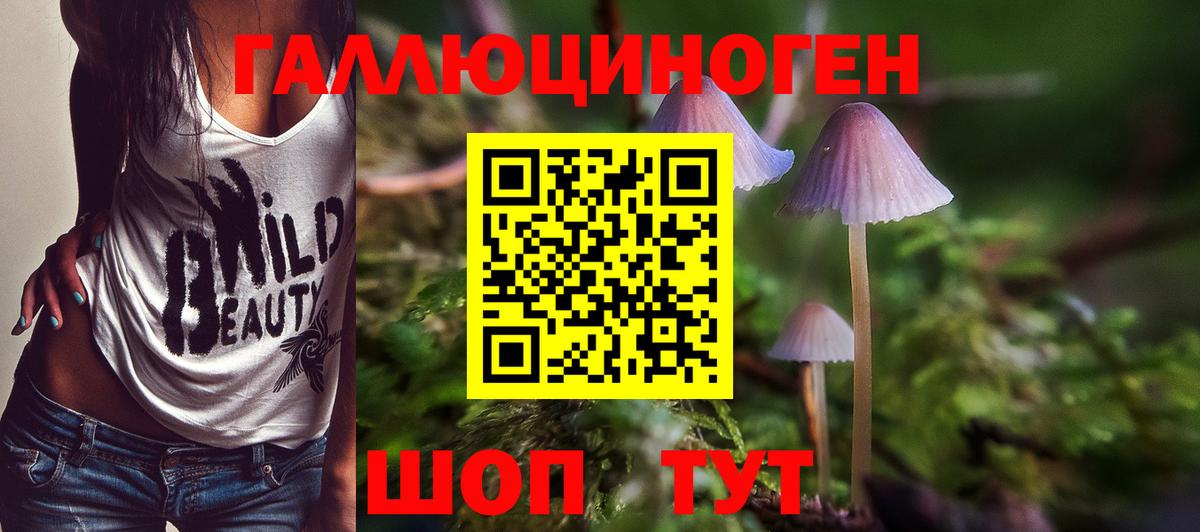 Псилоцибиновые грибы Cubensis  Вход с VPN  купить  цена  Рыбинск  Галлюциногенные грибы ЛСД 