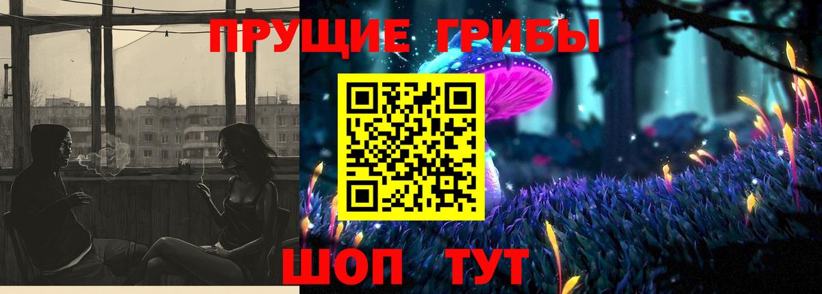 Галлюциногенные грибы Psilocybine cubensis Рыбинск