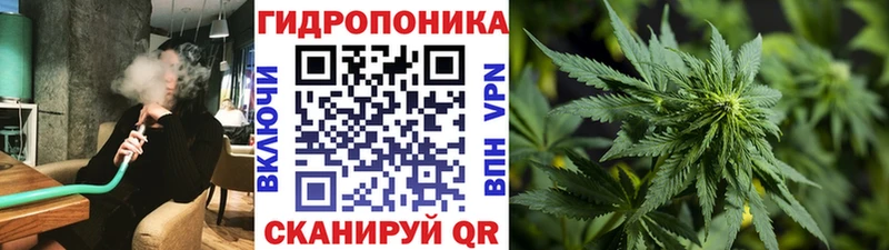 Шишки марихуана планчик  blacksprut как войти  Рыбинск 